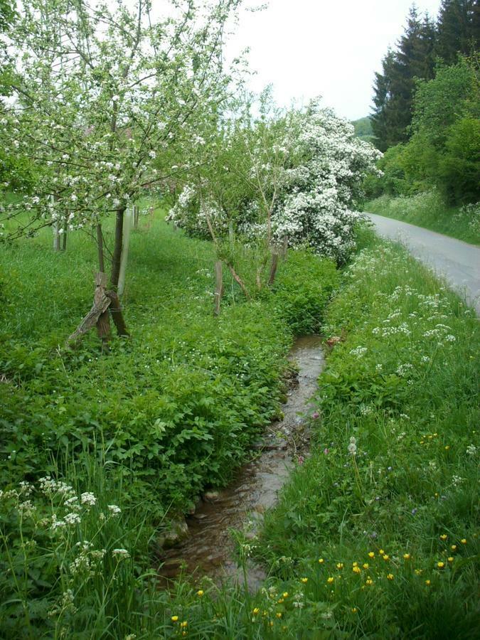 Gasthof Susewind Antfeld Exteriör bild